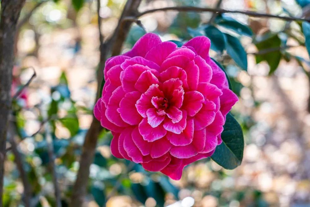 瞧！这花花世界谁不爱