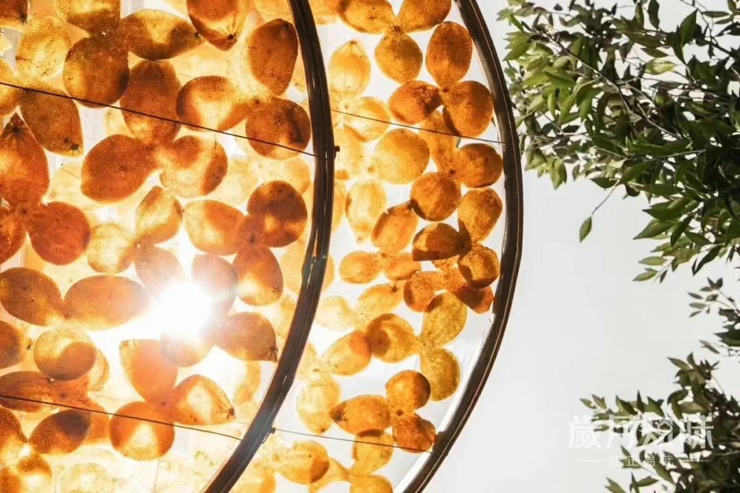 岁月知味陈皮白茶价格,每日一茶之陈皮老白茶