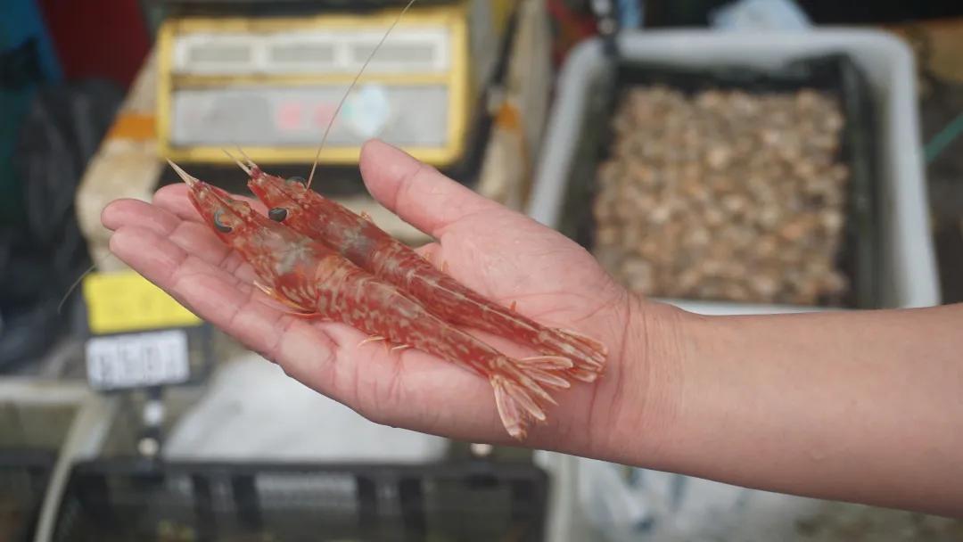 去菜市场吧！|黄沙，负名之下书尽鲜活百态