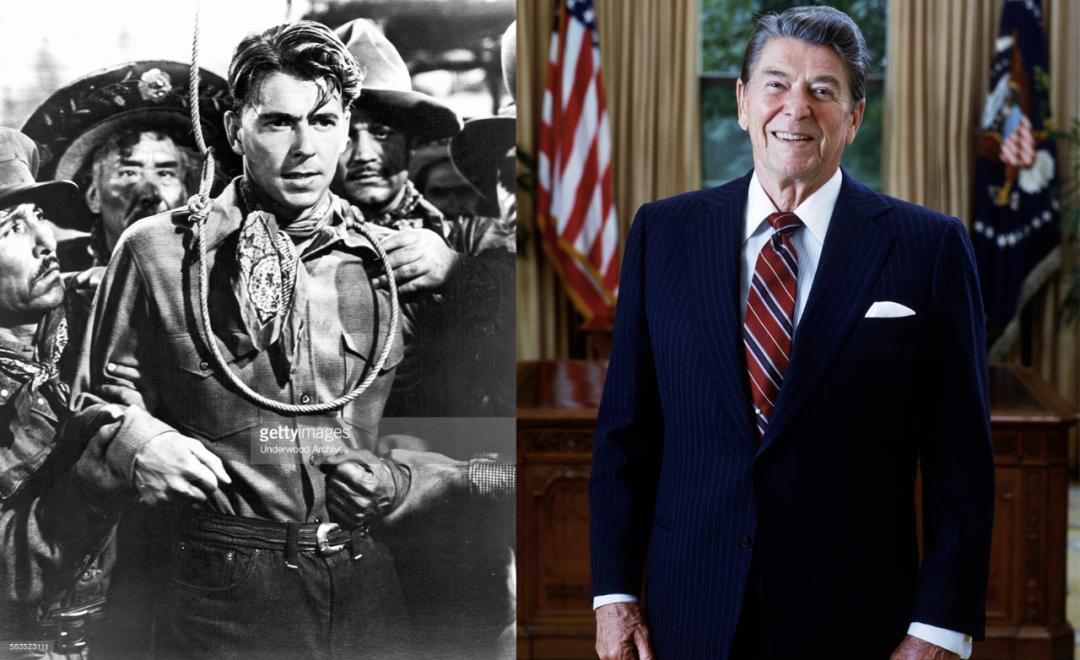 帕丽斯希尔顿退休,帕丽斯希尔顿演过什么