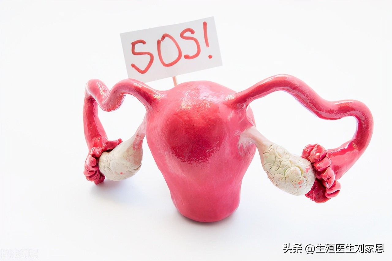 卵巢储备功能低下怎么办？如何备孕？生殖医生解读