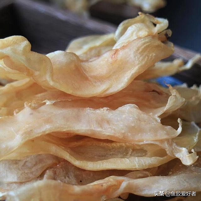 花胶的挑选九招识别真假花胶,真花胶和假花胶吃起来有什么区别