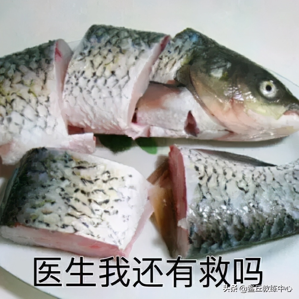 小腿大腿太有肉怎么减成筷子腿,大腿小腿粗如何减细最快最有效