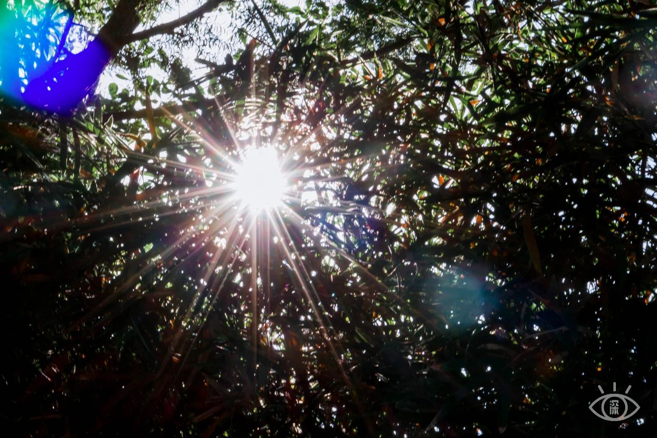 深圳各区最美的地方,深圳6个绝美地方