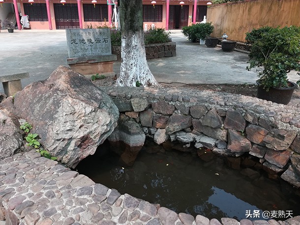 去偶遇朝气蓬勃的老年人,遇到一位很淳朴的老人