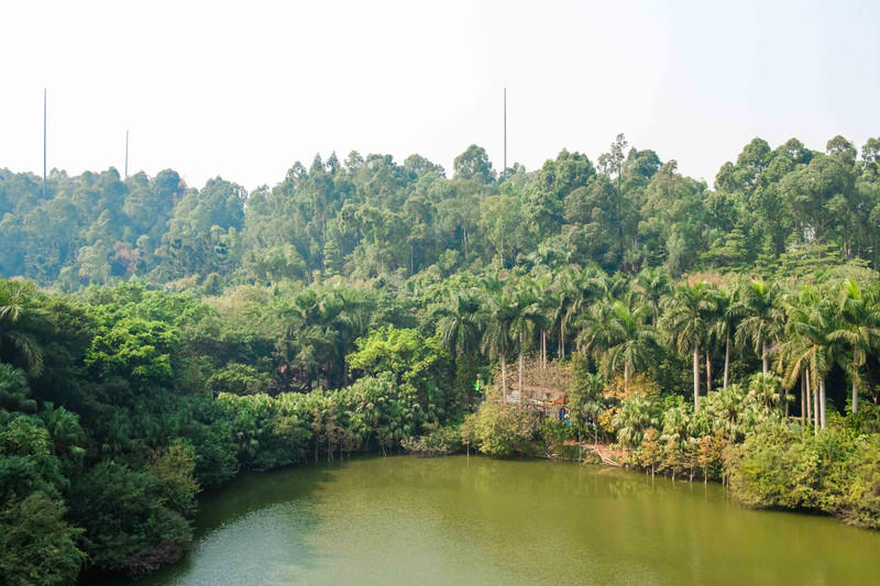 玩转广州长隆野生动物世界之行,广州长隆动物世界游玩攻略图