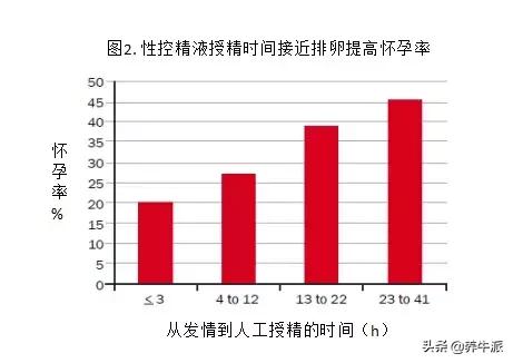 奶牛技术深度解析,奶牛技术创新