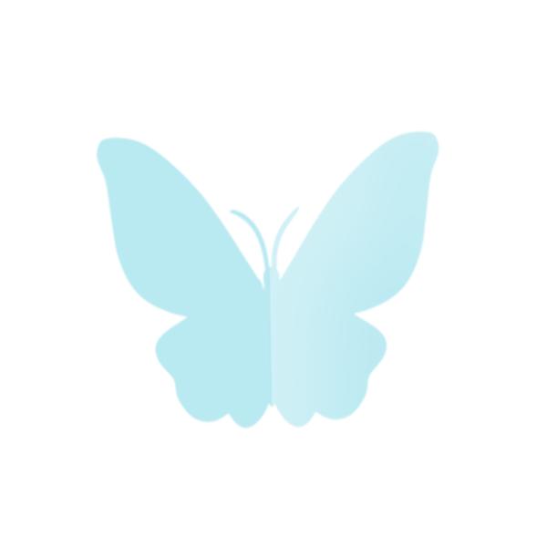 为什么海南人爱穿人字拖,为啥泰国人全部穿人字拖