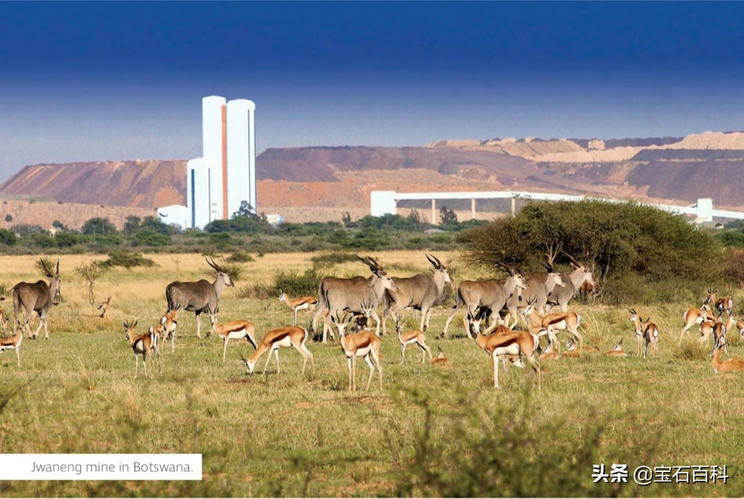 变局|GIA、HRD、IGI更新培育钻石分级体系，人工培育钻石潮流将至