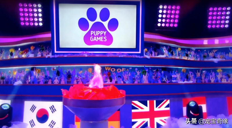 狗狗飞球比赛世界纪录,美国狗狗选美大赛