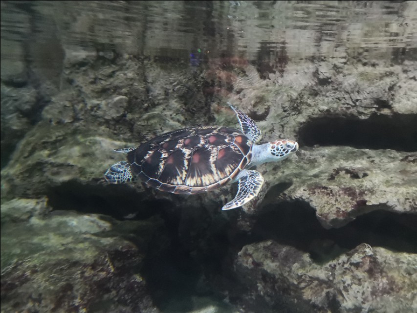 北京工体富国海底世界周一营业,北京工体富国海底世界旅馆