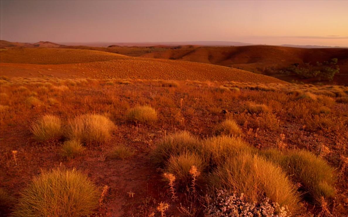 情商高的人自然有贵人相助,情商高和智商高的人有什么表现