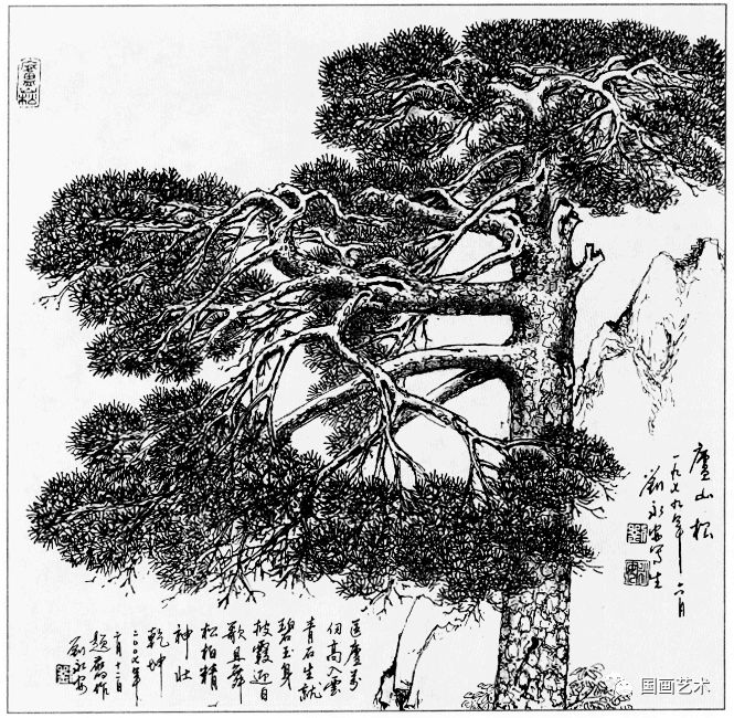 日式线描松树波浪纹,深度线描儿童画松树