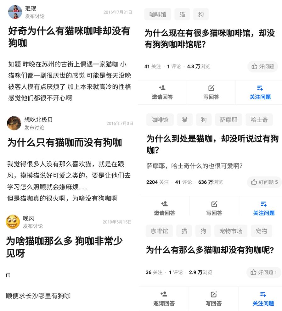 在三里屯体验网红狗咖｜求治愈遭狗子冷淡回应，顾客寥寥无几，我花89元看狗打架1小时