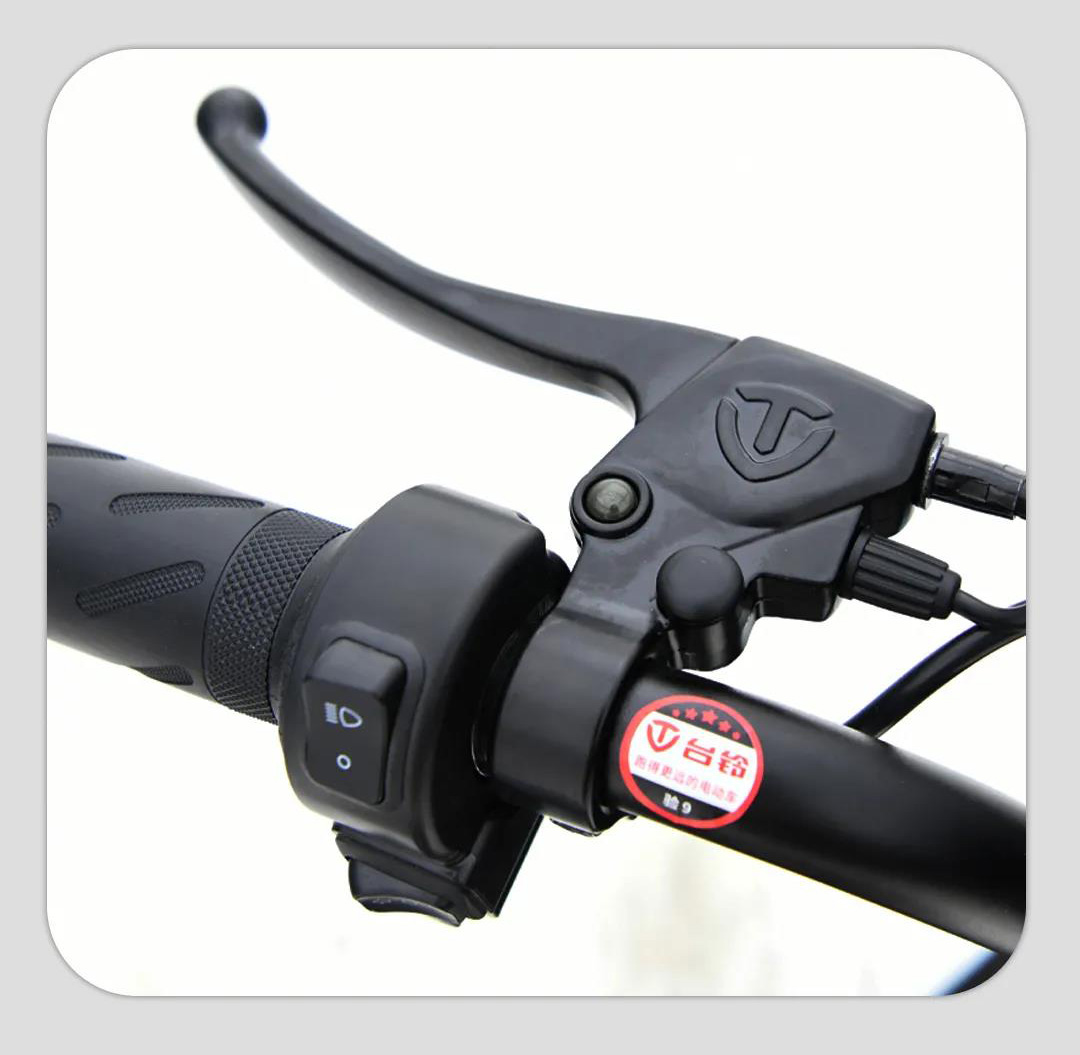 台铃小乐美配置,台铃小乐美电动车价格