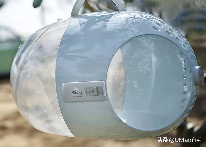 李佳琦叫卖都不管用！双十一猫咪用品这些坑得避