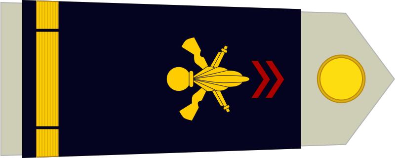 法国将军军衔等级,法国上校是什么军衔