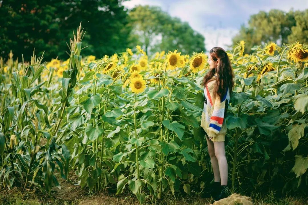 苏州小众旅游景点推荐,苏州好看又小众的拍照圣地