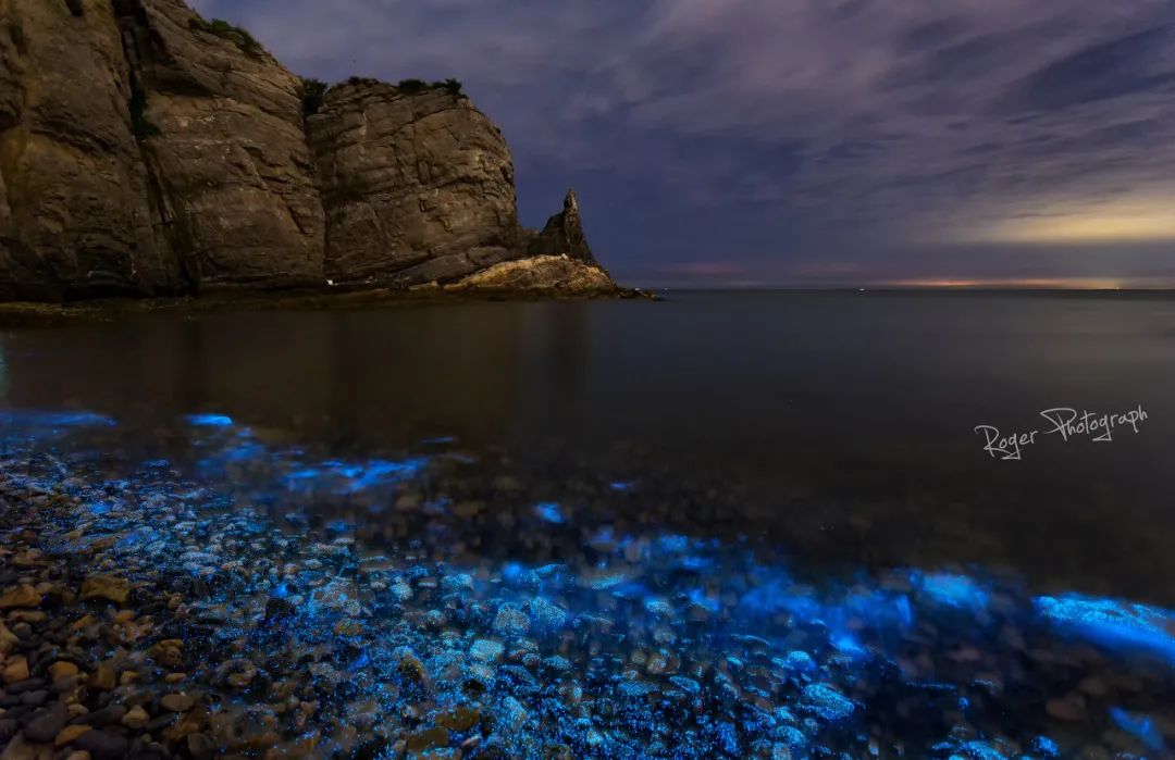 旅游三亚和厦门哪个更值得去,三亚和厦门哪一个更值得去旅游