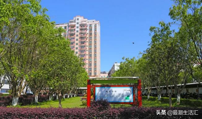 五华田家炳中学美术,五华田家炳中学简介