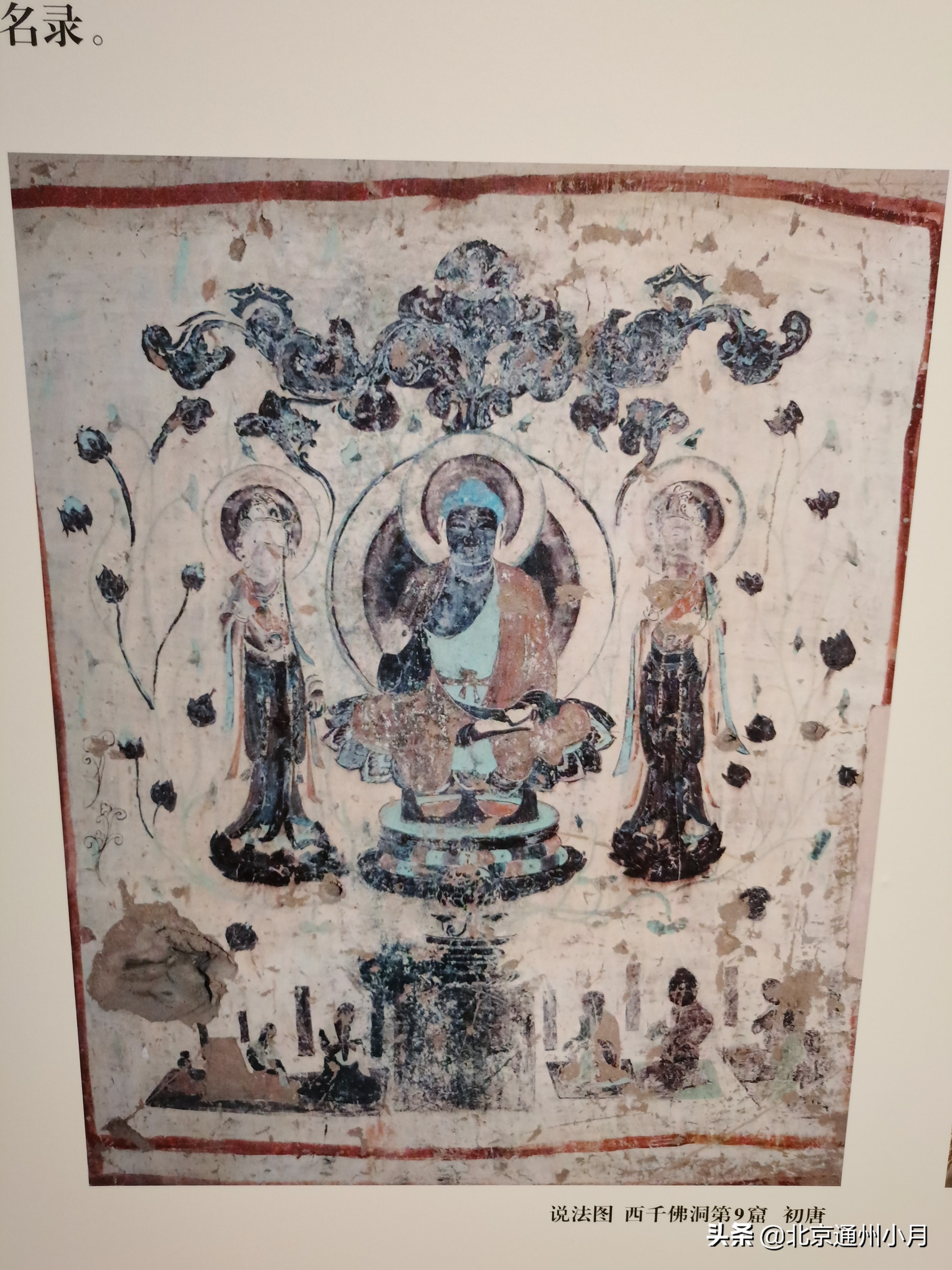 北京适合遛娃的公园,北京户外遛娃好去处冬天