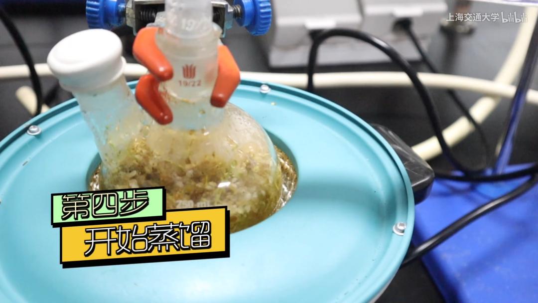 为什么不反感石楠花的味道,石楠花为什么是生命的味道