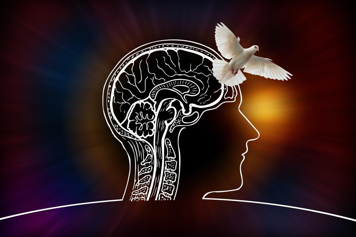 宝马兼职干家政一个月能挣多少钱,我家钟点工