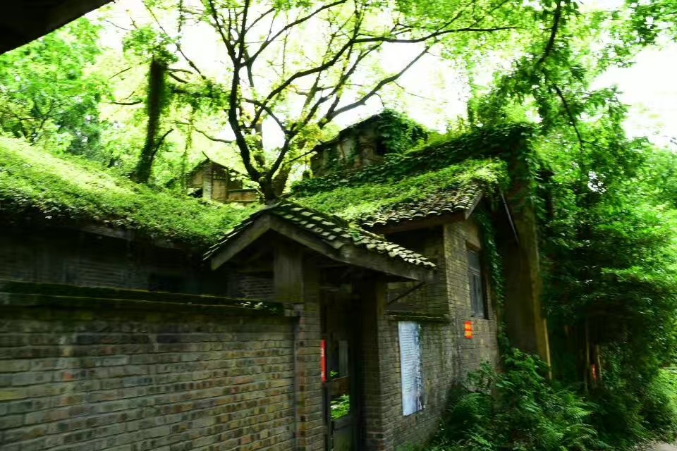 重庆值得一去的5个古镇,重庆最值得去的十大古镇