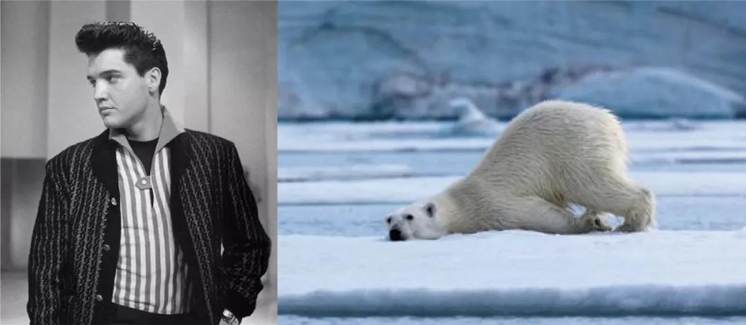 logo拟人化,拟人化商标设计logo