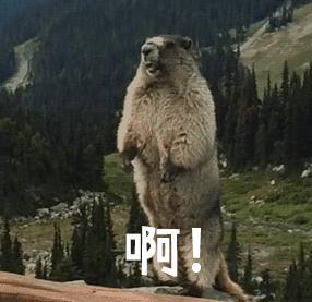 雅诗兰黛小棕瓶真的好用吗,雅诗兰黛小棕瓶到底值不值得买