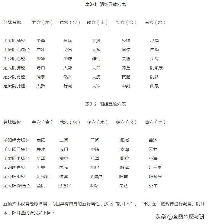 2021中医考研：针灸学之经络腧穴各论（一）