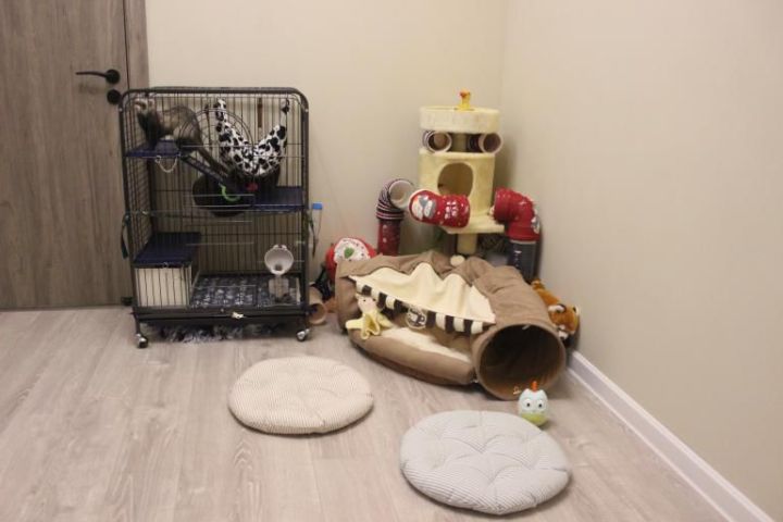 新房装修30个避坑的指南,装修房子从头到尾避坑指南