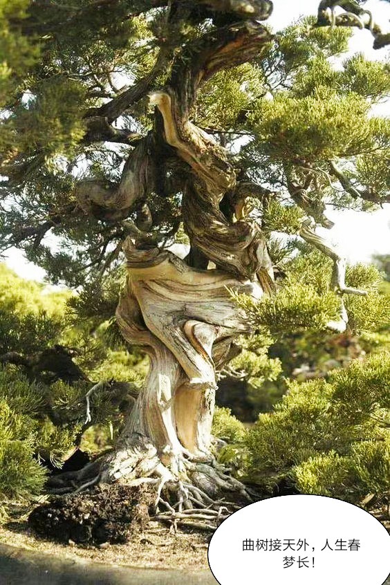 芒种种出新希望,芒种和幸福播种