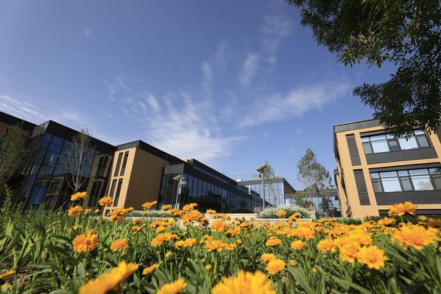 北京海淀凯文国际学校教育体系,北京海淀凯文国际学校招生条件
