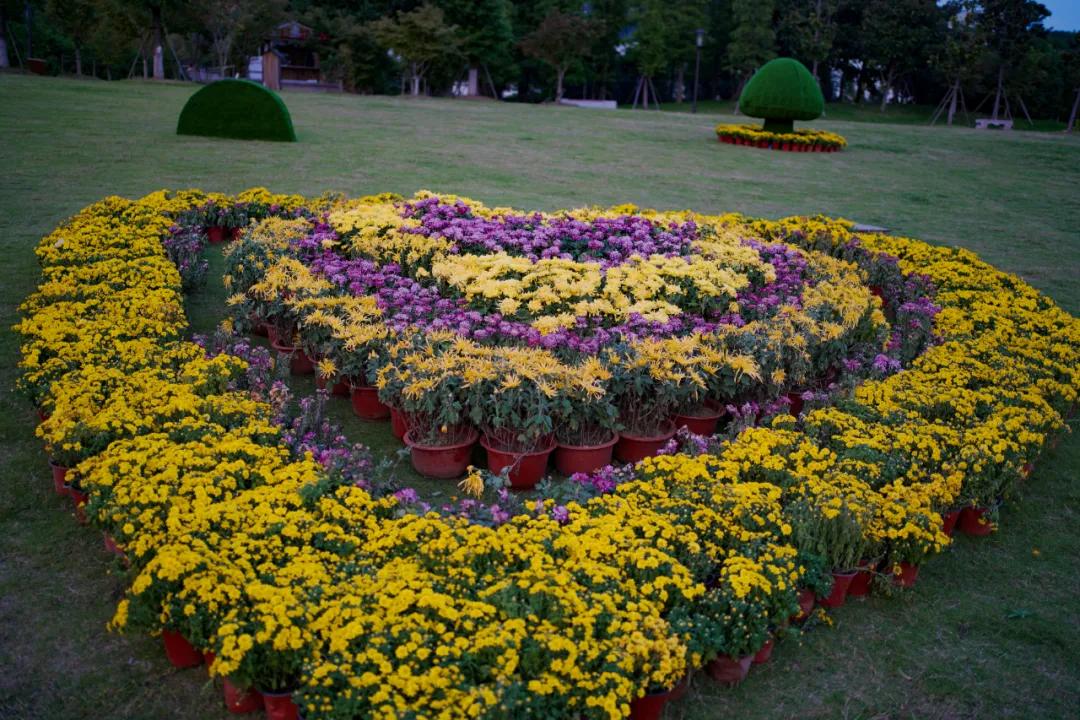 藏不住了！国庆节苏州这片花海美哭了！大人小孩玩到不想走