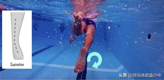自由泳腿部内旋训练,如何提升自由泳打腿频率