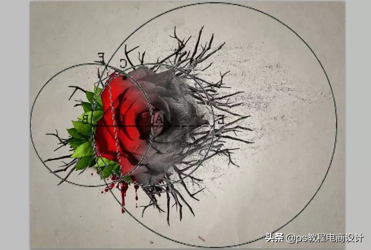 ps怎么把玫瑰变成金黄色,ps蝴蝶和鲜花合成