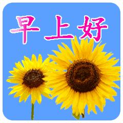 生活不易请善待自己早上好,感悟人生百态早上好