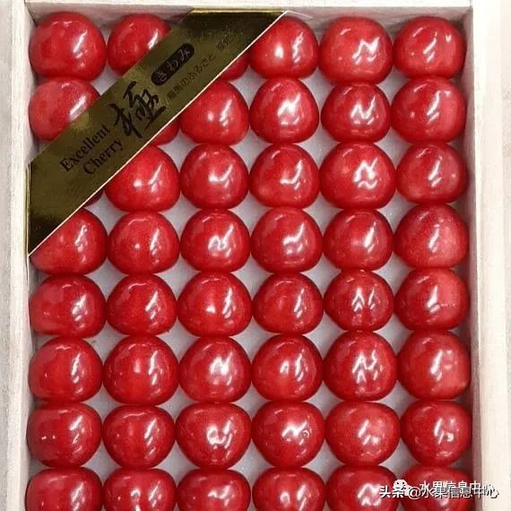 卖樱桃8块一斤十五块两斤的视频,一斤樱桃多少钱
