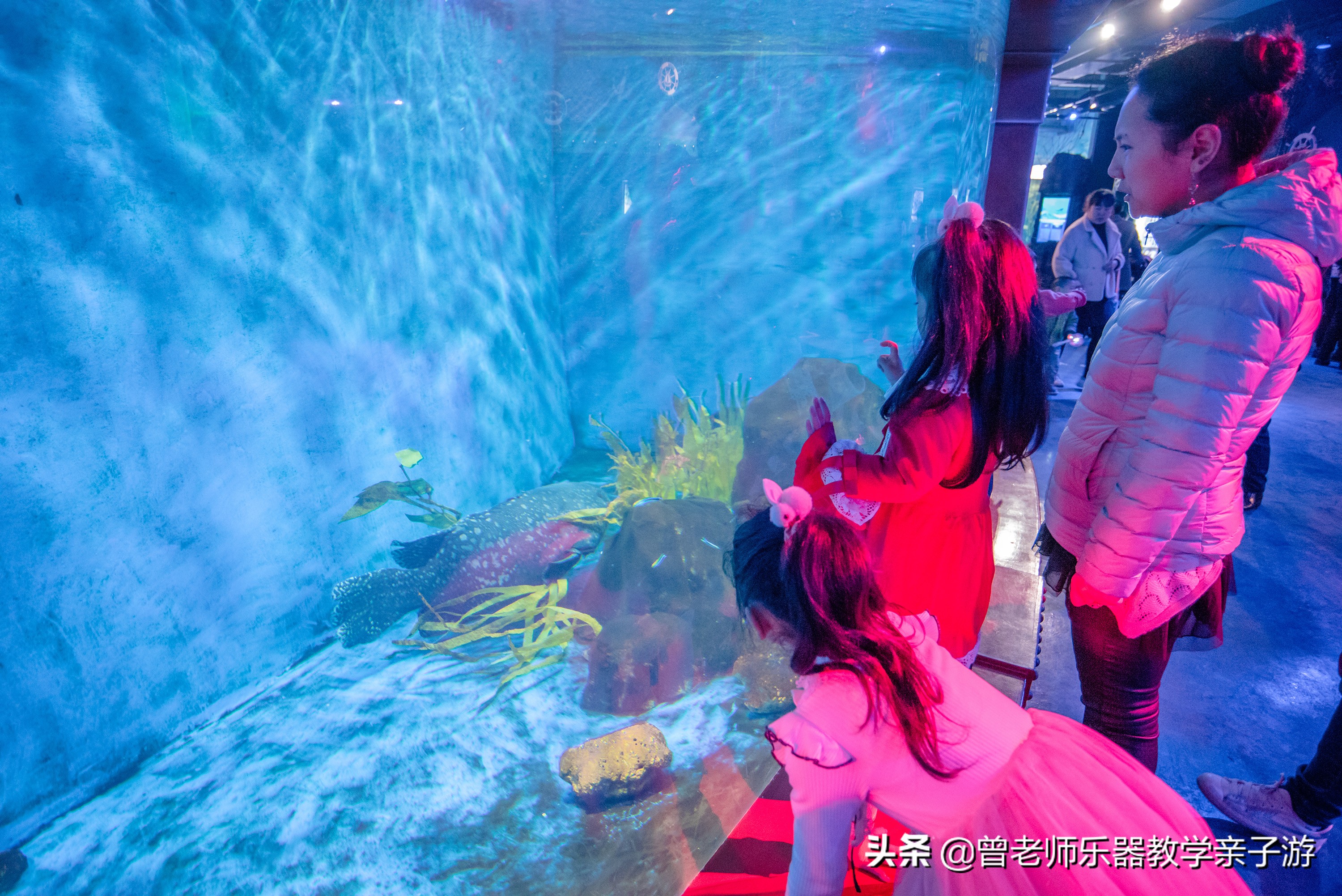 西安太奥海洋馆,西安极地海洋世界海豚表演