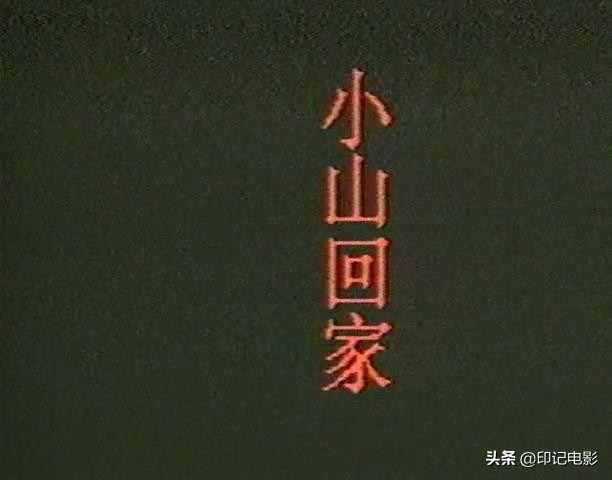 贾樟柯的经典农村电影,贾樟柯微电影过年