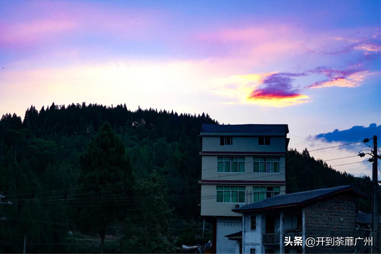 浜戝崡涓嵂閲庢灉澶у叏,浜戝崡閲庢灉鑽潗