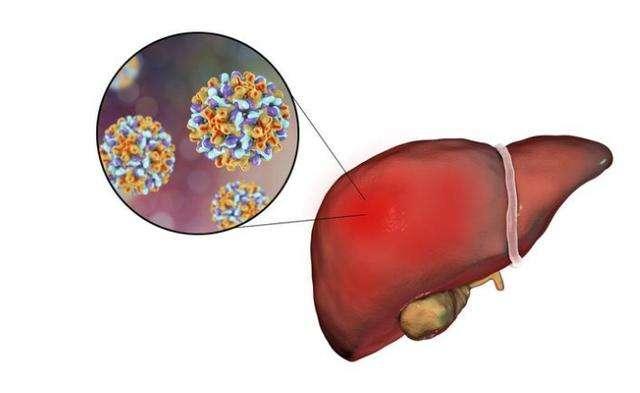日常生活会传染乙肝不,日常生活接触会传染hpv病毒吗
