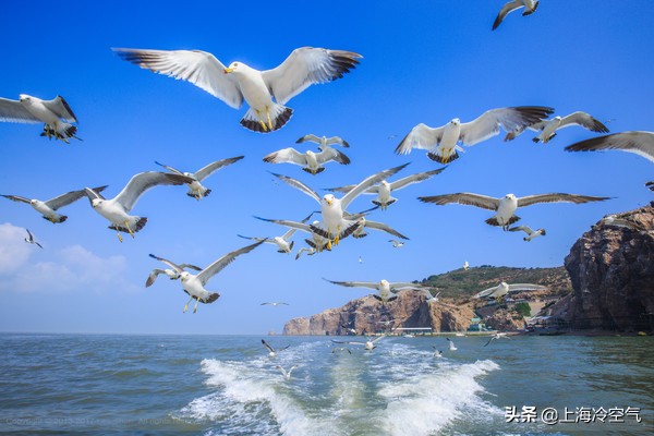 山东最大无人岛有哪些,荣成最美海岛