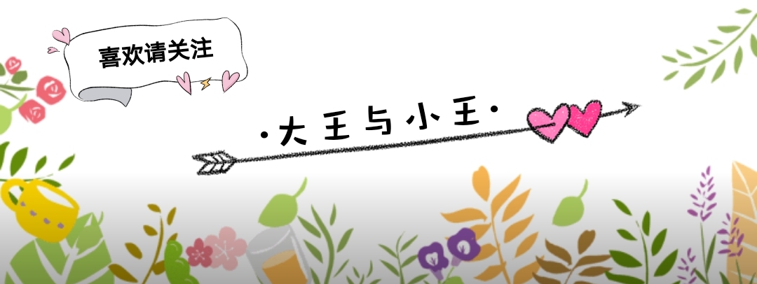 君子兰开花期间可以换盆吗,君子兰开花可以换盆浇透水吗