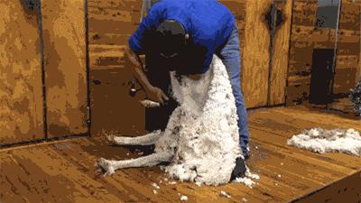 运营商好消息！手机号全面解禁，流量随便用