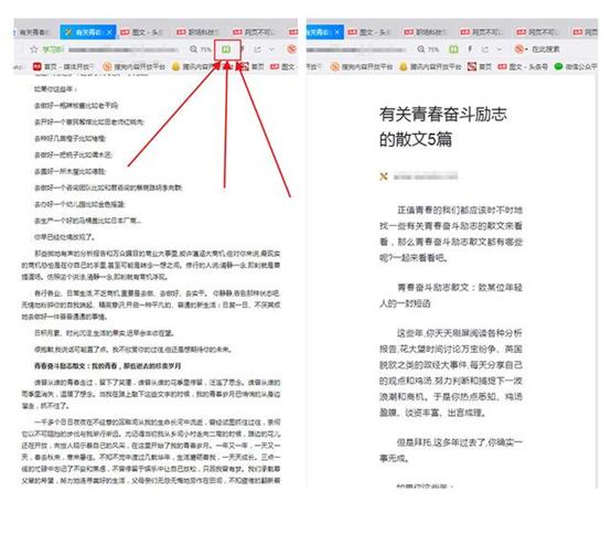 网站上的付费文档怎么免费复制,网上的付费文档