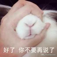 大型翻车现场来源,大型翻车现场可以怎么说