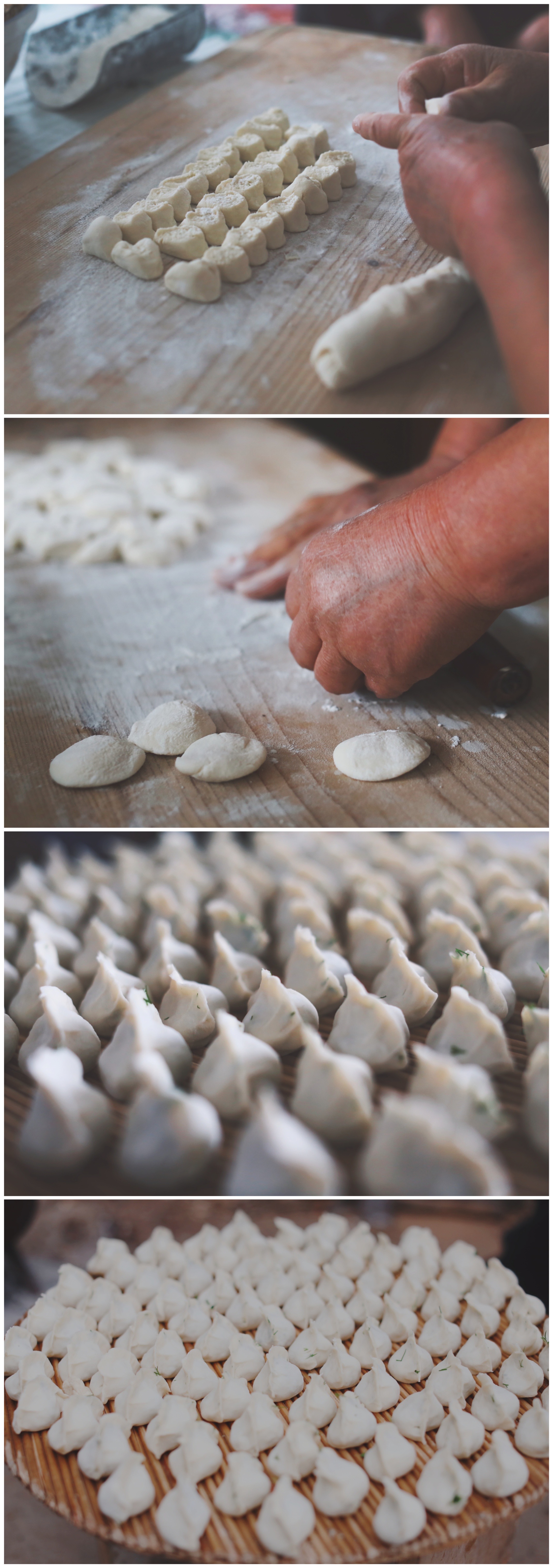 茴香馅水饺正宗做法,茴香猪肉生水饺