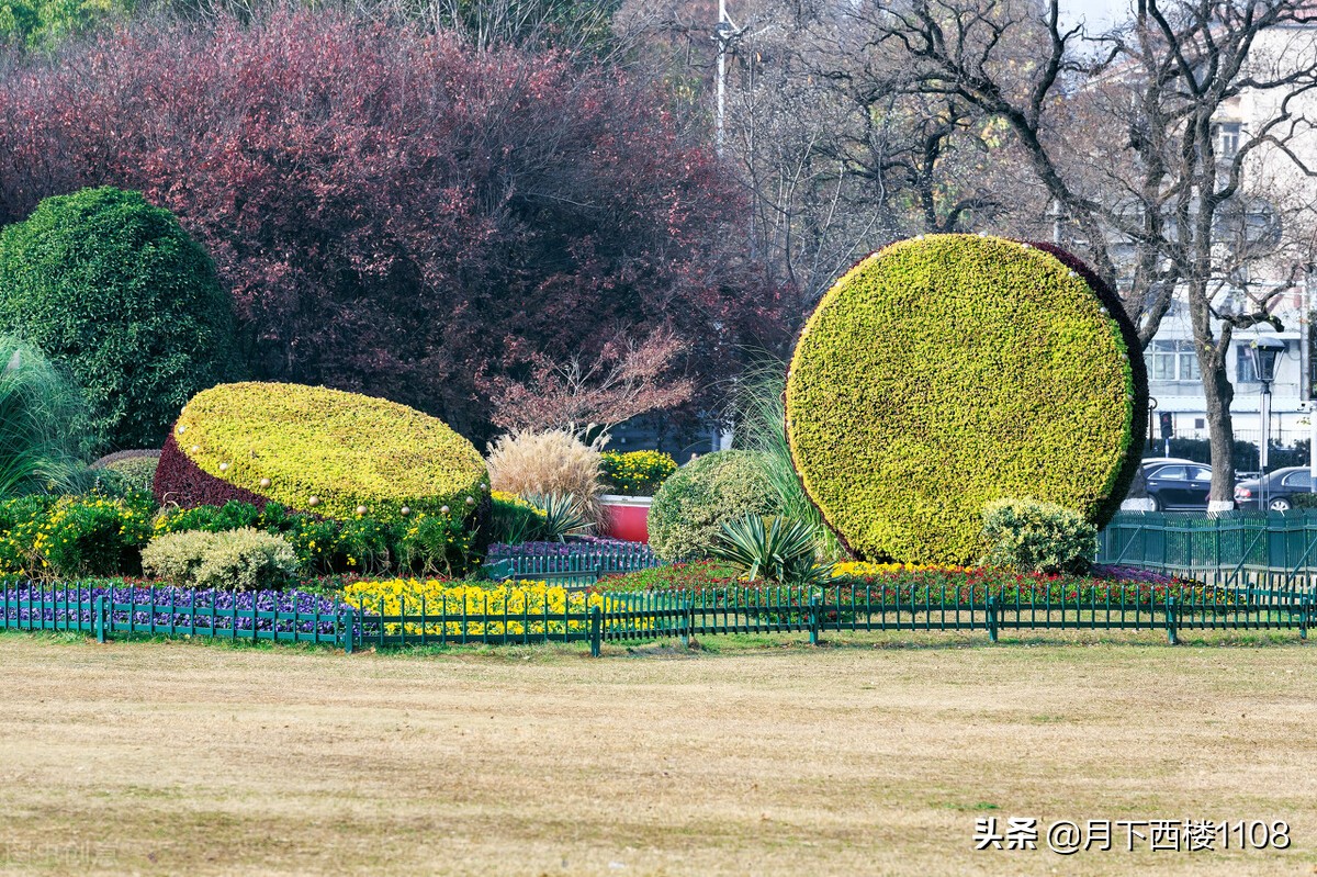 南京什么地方最能体验南京特点,你不知道的南京特点